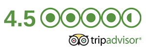 tripadvisor